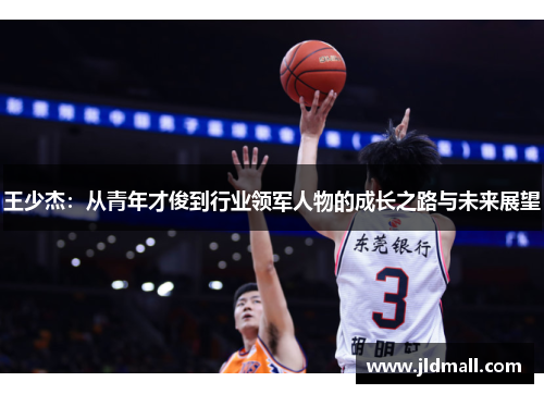 王少杰：从青年才俊到行业领军人物的成长之路与未来展望